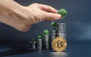 How Investors Are Using Bitcoin to Fuel Economic Growth
